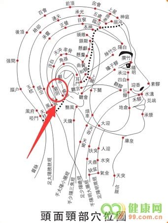 頭竅陰穴|醫砭 » 中華針灸 » 頭竅陰